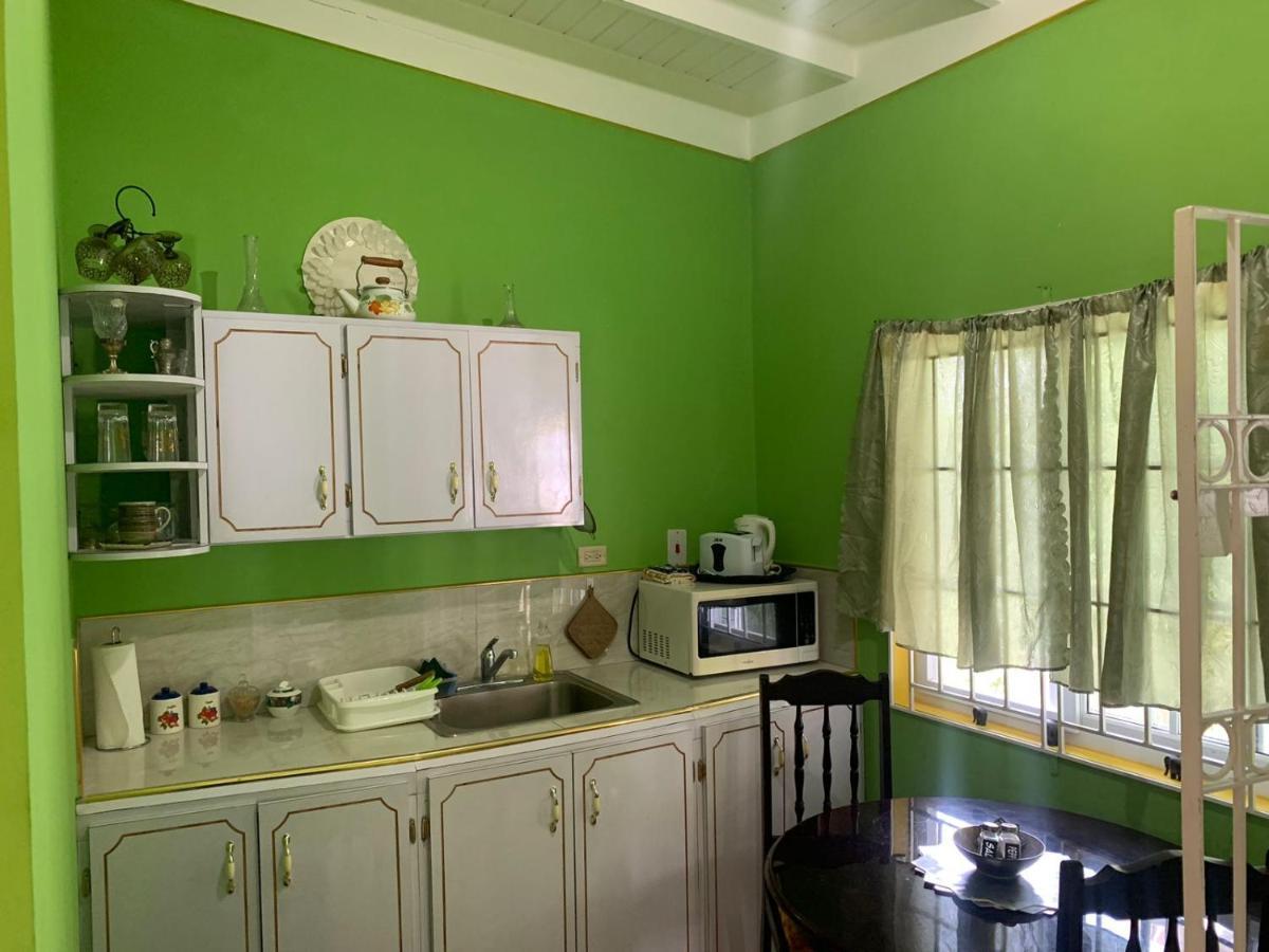 Shalom Suite 2, Manor Park Kingston Bagian luar foto