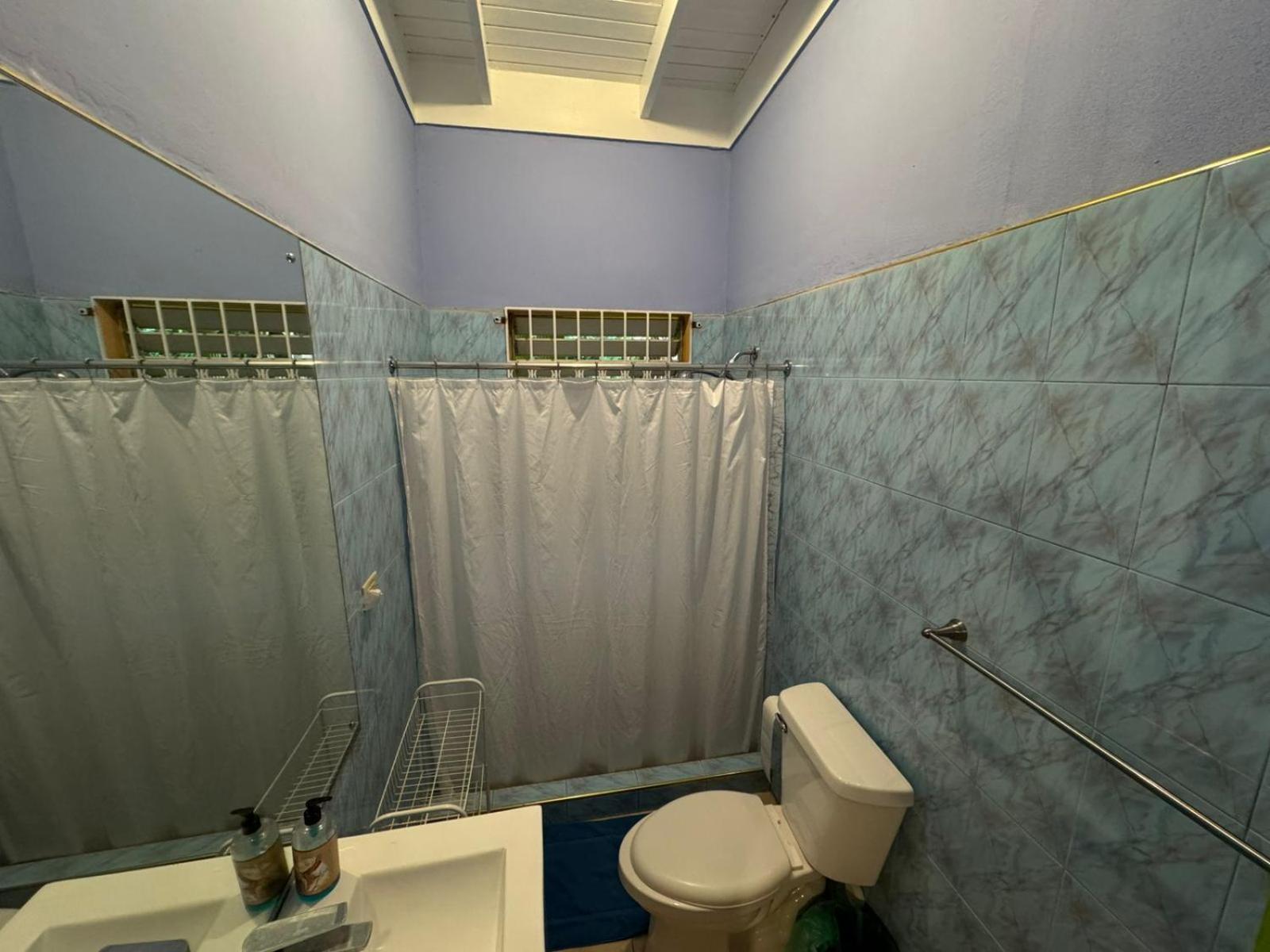Shalom Suite 2, Manor Park Kingston Bagian luar foto