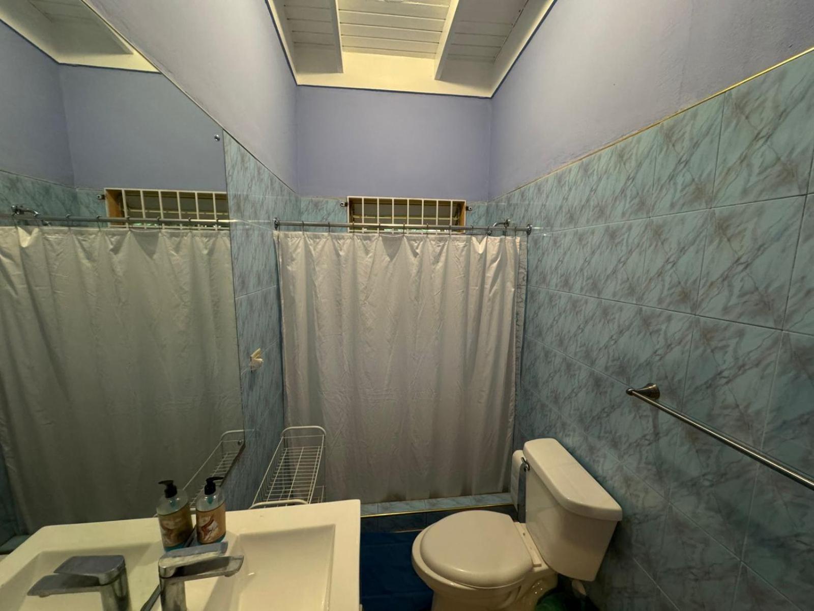 Shalom Suite 2, Manor Park Kingston Bagian luar foto