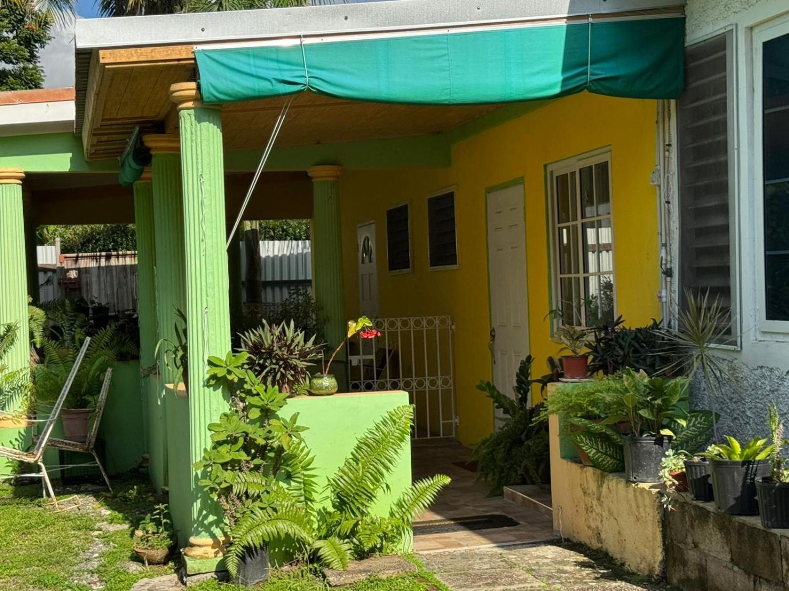 Shalom Suite 2, Manor Park Kingston Bagian luar foto